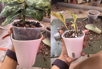 VENTE FLASH Pots de fleurs en plastique transparent pour balcon et jardin de 15 cm, pots à plantes auto-arrosants avec pot intérieur transparent