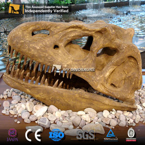 Mon Dino En Fiber De Verre Résine Grand dinosaure Allosaurus Tête crâne Réplique Dans le Hall D'exposition - Product Image 5