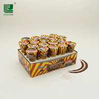 Biscuits Halal Croustillants et Sucrés Marron, Grande Taille, Vente Chaude, Fourniture Directe Usine, Cornets de Crème Glacée au Chocolat, Marque Personnalisée, Pour Enfants, 12 Pièces