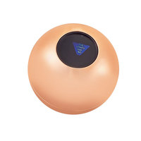 Balle de divination en plastique ABS dorée, jouet fantaisie pour prendre des décisions, vente en gros, logo personnalisé, portable, promotionnel