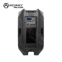 Precisión Pro AudioCAN15APX 15 pulgadas 350W fiesta Karaoke amplificador Digital profesión plástico potencia activa altavoz SISTEMA DE Audio