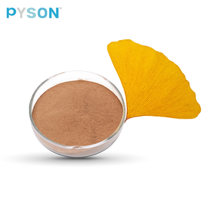 Ekstrak Daun <span class=keywords><strong>Ginkgo</strong></span> <span class=keywords><strong>Biloba</strong></span> Murni Alami dalam Bentuk Bubuk, Suplemen Pendukung Kesehatan Kognitif & Manfaat Antioksidan, Kualitas Makanan - Product Image 1