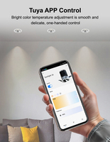 Driver Tuya Zigbee pour éclairage intelligent 36V, compatible avec les spots et downlights, avec variation de lumière de 2700K à 6000K, par Golden Security