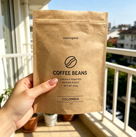 Pochette autoportante compostable en papier kraft biodégradable à 100 %, imprimée sur mesure, écologique, pour café