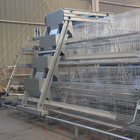 Système de cage à poules pondeuses entièrement automatique de type A, galvanisé, avec système de collecte d'œufs, pour usage agricole