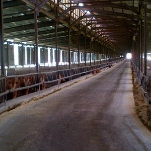Diseño de estructura de acero prefabricada Almacén Pequeña granja Taller Cobertizo para vacas - Product Image 2