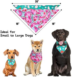 عصابات قطنية مخصصة للكلاب بالجملة عصابات قطنية عضوية للحيوانات الأليفة - Product Image 5