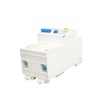 Disjoncteur différentiel LINZELE DZ47-100 1P 80A 100A 125A ELCB RCBO 10kA Capacité de coupure Certifié CE AC 230V IP20
