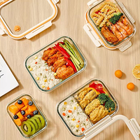 Lot de Contenants Alimentaires en Verre Borosilicate Haute Qualité Personnalisables, Sûrs pour Micro-ondes, Congélateur, Hermétiques, Anti-Fuite, Sans BPA