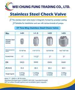 BSP Threaded Spring Check Valve Backflow Preventer 1" SUS304 Stainless Steel Water System - Product Image 5