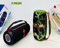 NOUVEAU Système audio P PRO31 - Système de son portable de 30 W avec basses puissantes, éclairage RGB, caisson de basses extérieur, 3600 mAh