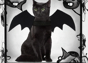 Disfraces de <span class=keywords><strong>Halloween</strong></span> para Gatos, Chalecos de Poliéster con Estampado Animal, Ropa para Mascotas, Accesorios para Disfraces de Fiesta para Perros Pequeños, Cachorros y Gatitos - Product Image 4