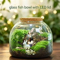 Décoration d'intérieur : Pot de fleurs hydroponique, terrarium, aquarium, vase en verre borosilicate de haute qualité avec couvercle