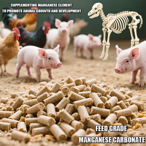 Carbonato de Manganeso Mn 44% MnCo3 Grado Alimenticio para Animales, Fertilizantes, Grado de Batería CAS 598-62-9 Polvo Marrón Claro China - Product Image 3