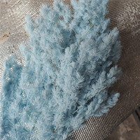 Vente en gros de fougères Ming naturelles préservées à jamais, fleurs immortelles à longue durée de vie, tiges pour arrangements de Thanksgiving et de la Fête des Mères