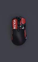 Souris de jeu bluetooth filaire et sans fil, souris ergonomique pour joueurs à logo personnalisé Oem