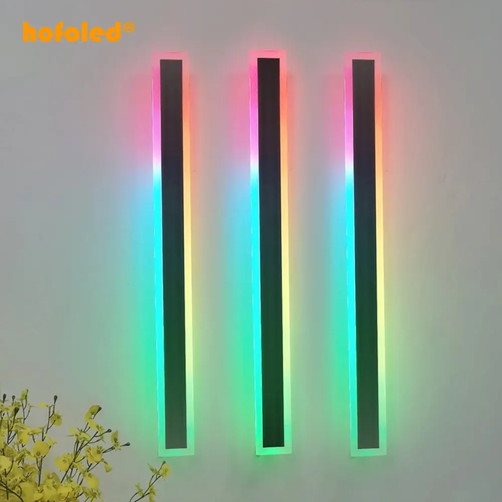 Hofoled Outdoor Up And Down Long Wall Light Indoor 110V 220V Line Lighting Home Decor RGB Smart Wall Light With Remote Control