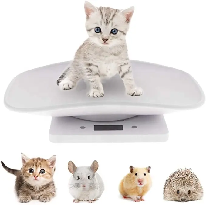Bilancia digitale per animali domestici, bilance elettroniche LCD per piccoli animali e utensili da cucina 10kg