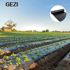 Film de paillage perforé pour le contrôle des mauvaises herbes, protection des plantes d'extérieur, des melons, des légumes et des fraises en agriculture - Product Image 3