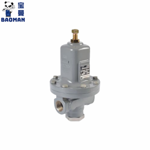 Technical Support Genuine MR95 Series Pneumatic Gas Compact <b>Large</b>-Capacity Direct-Operated Regulator Versatility - Product Image 4