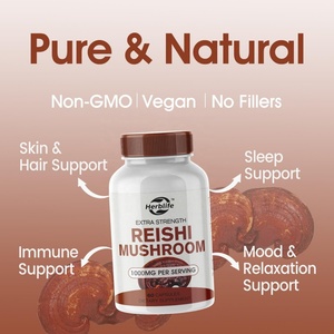 OEM ODM Hot Selling <strong>Ganoderma</strong> <strong>Lucidum</strong> Supplements Reishi Mushroom <strong>Extract</strong> <strong>Capsules</strong> - Product Image 4