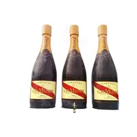 Benutzer definierte Schlauchboote Werbung Requisite aufblasbare Champagner flasche sprengen