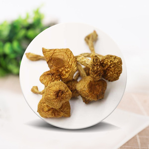 Hua Zi Gu The Split wholiota microspora เห็ด nameko เชื้อราสำหรับอาหาร - Product Image 3