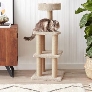 JTPAWS Basics Modern Cat Tree Indoor Kittens Multi-Level Climbing Activity Tower Sisal <span class=keywords><strong>Scratching</strong></span> Posts Besar (45.9'H) - Product Image 1