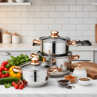 Vente flash : Ensemble de 6 ustensiles de cuisine en acier inoxydable, casseroles et poêles en métal, fond composite, poignées, casseroles, compatible induction, lave-vaisselle