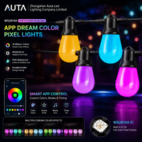 WS2814A RGB Lampu Pixel String Light APP Pengubah Warna Impian untuk Liburan, Pernikahan, Pesta, Dekorasi Luar Ruangan, Grosir Rantai Lampu