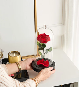Meilleur cadeau pour <span class=keywords><strong>la</strong></span> Saint-Valentin, <span class=keywords><strong>rose</strong></span> enchantée de <span class=keywords><strong>La</strong></span> <span class=keywords><strong>Belle</strong></span> <span class=keywords><strong>et</strong></span> <span class=keywords><strong>la</strong></span> Bête, <span class=keywords><strong>rose</strong></span> véritable préservée dans de <span class=keywords><strong>la</strong></span> glycérine, longue durée, 3-5 ans, cloche <span class=keywords><strong>en</strong></span> <span class=keywords><strong>verre</strong></span> - Product Image 2