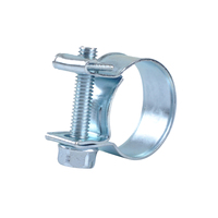 Collier de serrage en acier 20 pièces ensemble 12-14MM mini colliers de serrage, colliers de conduite de carburant, clips de tuyau d'eau d'air 120ML collier de serrage de tuyau d'emballage de bidon