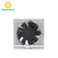 Enfriador VGA de Aluminio con Rodamiento de Bolas de 40 mm y 3500 RPM, Personalizado y Profesional, de la Fábrica WellSunShen en Shenzhen