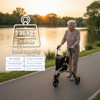 Déambulateur à trois roues en acier carbone pour personnes âgées, léger, durable, aide à la mobilité, rangement facile, voyage sécurisé, utilisation hospitalière, classe I