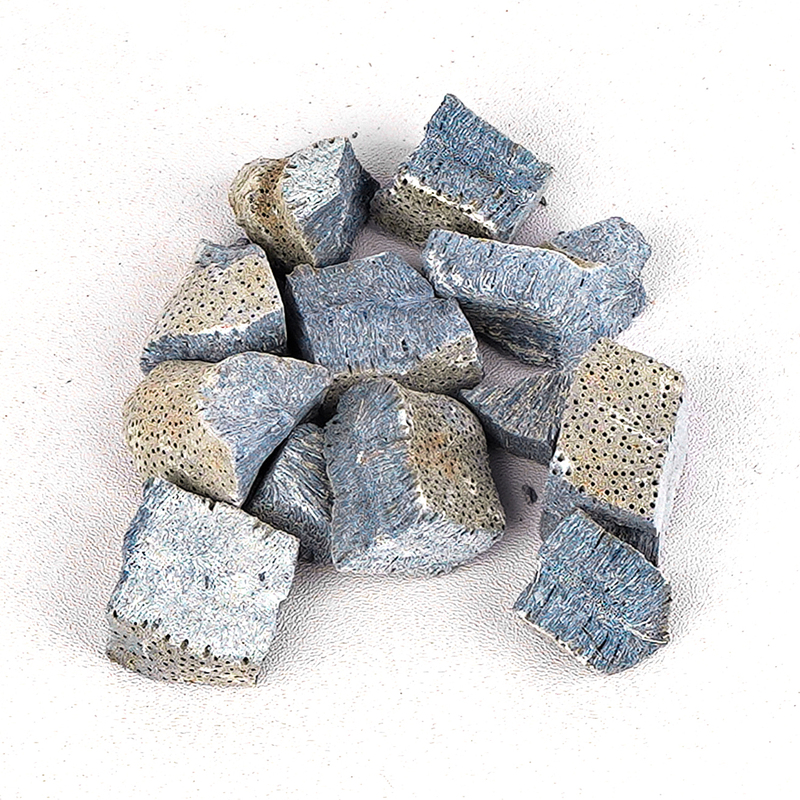 Fossilized Blue Coral Ancient Heliopora Coerula