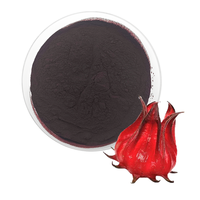 Extrait de fleur d'hibiscus Anthocyanidines Roselle Extrait Roselle Poudre Poudre de fleur d'hibiscus