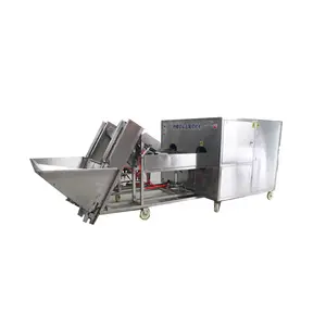 Lemon Slicing Machine Lemon Slicer Onion Cutting Machine