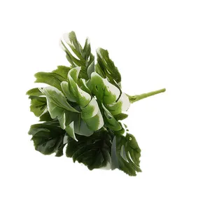 Plantain Leaf Seed Wholesale Green Gardening Project Decorative Flowers and Plants Wall With Grass