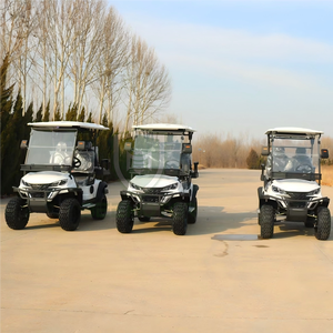 Beemotor מותג eec coc נקודה אישור משלוח רכב שירות חשמלי - Product Image 1