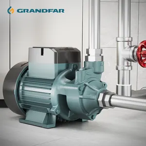 GRANDFAR 0.5Hp 0.37kw外围表面清洁水泵电动机家用花园Qb 60g外围清洁水泵