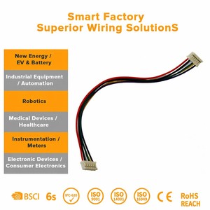 Câble de raccordement en cuivre personnalisé avec connecteur JST Molex 2,54 mm, 2 ou 4 broches, 12 V pour équipement électronique PCB - Product Image 2