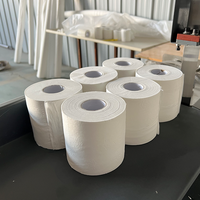 Ligne de production de papier toilette Plug-and-Play pour les petites entreprises à domicile, avec manuel vidéo, incluant moteur, engrenage et moteur à roulement à billes PLC essentiels.