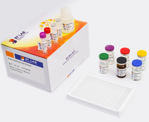 Facteur de <span class=keywords><strong>nécrose</strong></span> <span class=keywords><strong>tumorale</strong></span> humaine E0082Hu Alpha, KIT TNFA ELISA - Product Image 1