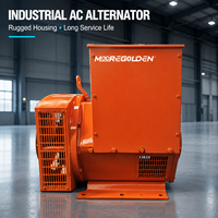Alternateur sans balais de type Stanford 100 kVA 80 kW 400 V 50 Hz avec AVR, prix direct usine