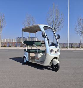 จักรยานสามล้อไฟฟ้า3ล้อจักรยานไฟฟ้ามีหลังคารถสามล้อไฟฟ้า - Product Image 5