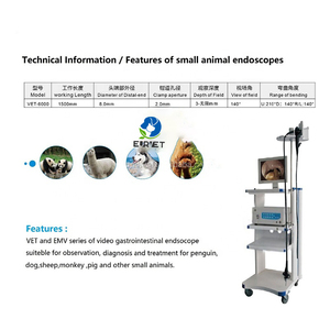 EUR VET <span class=keywords><strong>Precio</strong></span> de Fábrica Sistema de Colonoscopio Flexible HD para Examen Interno de Animales - Product Image 4