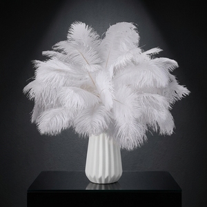 Plumes d'autruche D475 15-80 cm Afrique du Sud pour banquets, arches de mariage DIY, décorations d'allée, accessoires de table, spectacles ; Disponible - Product Image 1