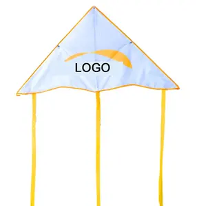 Flying Custom Printed Cometa Large Kite Delta Kite For Sale