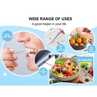 Ensemble de cure-dents réutilisables en acier inoxydable portable, étanche, mini outil de nettoyage buccal en métal, soin des dents, nettoyeur de bouche, fil dentaire