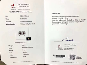 ต่างหูทองคำขาว 18K ประดับทับทิมทรงรี ดีไซน์หรูหรา ประดับเพชรแบบ Pave รูปทรงระเบิด ดีไซน์เนอร์ งานฝีมือชั้นดี เหมาะสำหรับงานปาร์ตี้ - Product Image 5